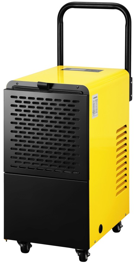 9650050-scaled